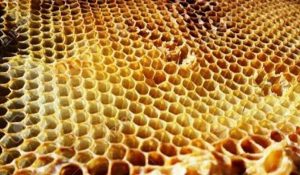 La cera de abeja está… donde no te lo imaginas