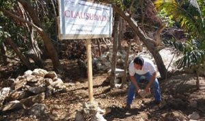 Clausura PROFEPA predios de más de 19 mil M2 en Yucatán, afectaban ecosistema de humedal