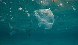 Sin plástico, clamor en el Día Mundial del Medio Ambiente 2018