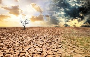 Día mundial de contra la desertificación y la sequía