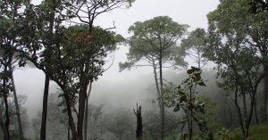 Reserva de la Biosfera Sierra de Manantlán