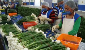 Trabajan México y EU para garantizar a consumidores alimentos frescos libres de contaminantes