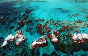 Área de Protección de Flora y Fauna del Norte de la Isla de Cozumel