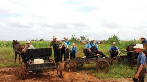 Millonaria multa de PROFEPA a comunidades menonitas en Bacalar, Quintana Roo