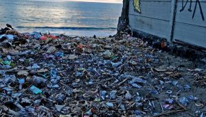 La basura marina en los océanos