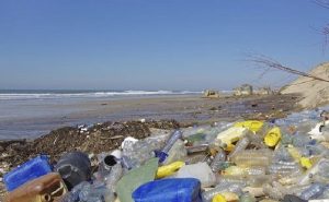 Cifras alarmantes de contaminación por plásticos en el océano
