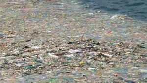 A dónde van los desechos que terminan en las playas y mares