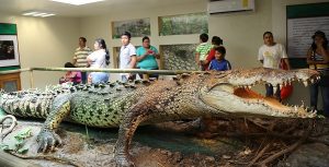 Oportuno rescate integral del Parque Museo de La Venta