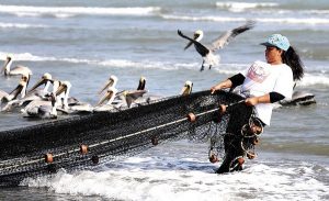 Pesca responsable, compromiso de 190 países en la Declaración de Cancún