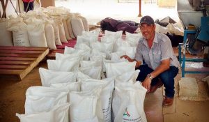 Impulsa SAGARPA la agricultura por contrato en Campeche