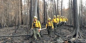 Con 536 combatientes movilizados concluye apoyo a Canadá por incendios forestales: SEMARNAT