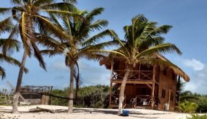 Clausura PROFEPA en punta Herrero, en ANP reserva de la Biosfera Sian Ka´An, en Quintana Roo