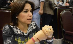 Próxima Cámara en Veracruz deberá legislar sobre matrimonio igualitario: Mónica Robles