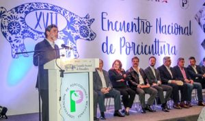 Podrá México duplicar producción porcícola en la próxima década: SAGARPA