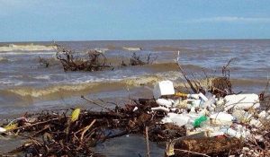 De colillas, botellas de plástico, popotes, y más están llenos los océanos