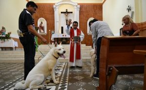 Realizan la tradicional bendición de mascotas, en Xalapa