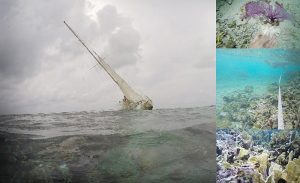 Graves daños a Arrecifes de Quintana Roo causa velero de EEUU