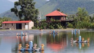 La acuacultura, un logro que nos hace sentir como «pez en el agua»