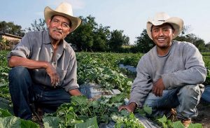 La agricultura mexicana, un logro muy valioso