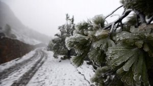 Pronostican caída de nieve o agua nieve en Cofre de Perote y Pico de Orizaba