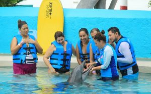 Brinda el DIF Benito Juárez terapia asistida con Delfines