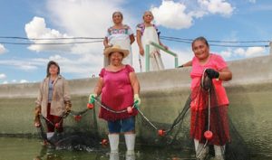 Crecimiento de la pesca en México se basa en sustentabilidad: SAGARPA