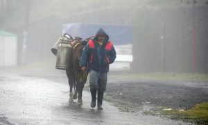 Heladas para la próxima semana en la zona de montañas en Veracruz: Protección Civil