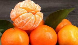 La mandarina, una de las frutas más populares en invierno