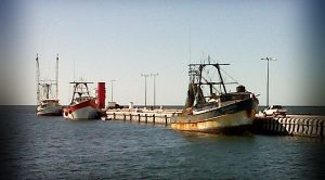 Sin vigilancia, ni inspección pesquera en Campeche: Industriales pesqueros
