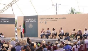 Anuncia AMLO la rehabilitación de la región Arrocera de Campeche