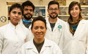 Científicos mexicanos logran eliminar el virus del papiloma humano