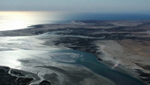 Contaminación del Golfo de México afecta importantes ecosistemas, alerta investigador