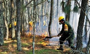 Se registran dos incendios en Maltrata y Acultizngo, en Veracruz