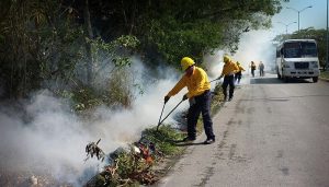 Ya van más de 200 incendios en Campeche