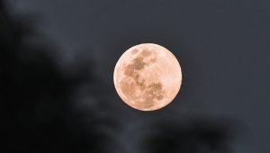 Luna Rosa ilumina el cielo en México y Veracruz