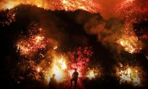 Incendios se intensifican en abril y mayo: Alerta CONAFOR