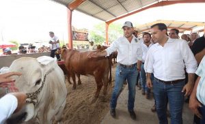 Pone en marcha el Gobernador Mauricio Vila Dosal el programa «Veterinario en tu rancho»