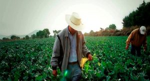 DíaDelTrabajo: trabajar en el campo es una experiencia única
