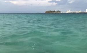 Tiende a desaparecer «Cancuncito» en Veracruz, por el aumento del nivel de mar: Oceanógrafo