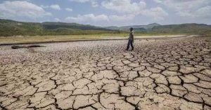 17 de junio, Día Mundial de Lucha contra la Desertificación y la Sequía
