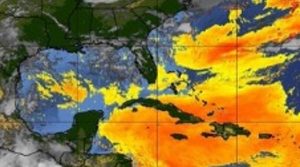 Polvo del Sahara avanza sobre Golfo de México y Península de Yucatán; descartan llegada a Veracruz