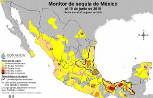 Veracruz, uno de los estados con mayores afectaciones por sequía: CONAGUA