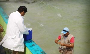 Monitorea COPRISCAM las playas de Campeche