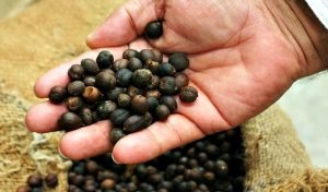 El Bienestar llega a productores de caña de azúcar y de café