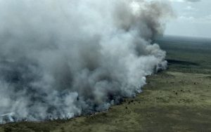 Autoridades atienden el incendio de la Biósfera de Sian Ka’an: Adrián Martínez Ortega