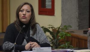 Cuitláhuac tiene hasta el 26 de agosto para entregar información de patrullas: IVAI