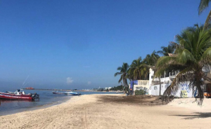Playas de Quintana Roo están quedando limpias de sargazo: Marina