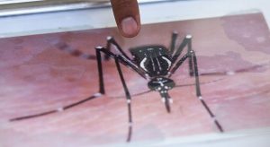 Xalapa es foco rojo en dengue: IMSS Veracruz