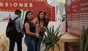 Un viaje al pasado, el Museo del Henequén en la Feria Yucatán Xmatkuil 2019