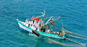 La pesca mexicana, una actividad inmensa como el mar
